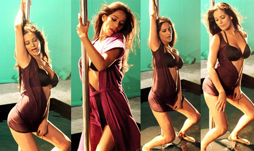 Poonam Pandey Poll Dance in Nasha